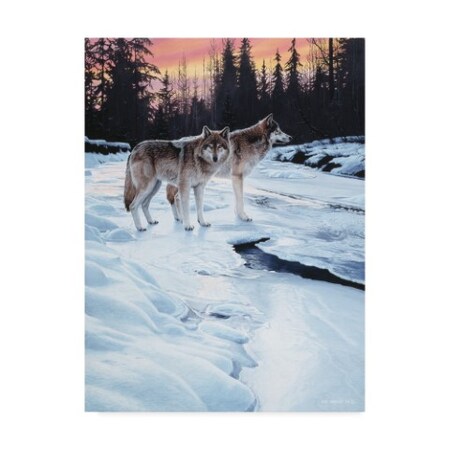 Ron Parker 'Wolves At Sunset' Canvas Art,18x24